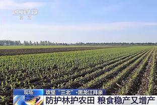 水晶宫主席谈曼联想挖角球队总监：我想双方没有任何对话